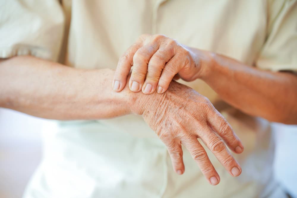 Terapia geriátrica